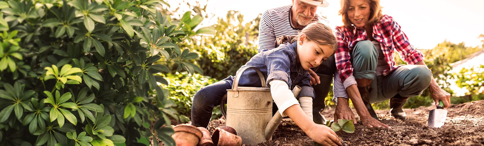 Welche Gartenarbeit fällt im Frühjahr an und wie starten Sie optimal in ein blühendes Gartenjahr.