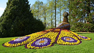 Insel Mainau