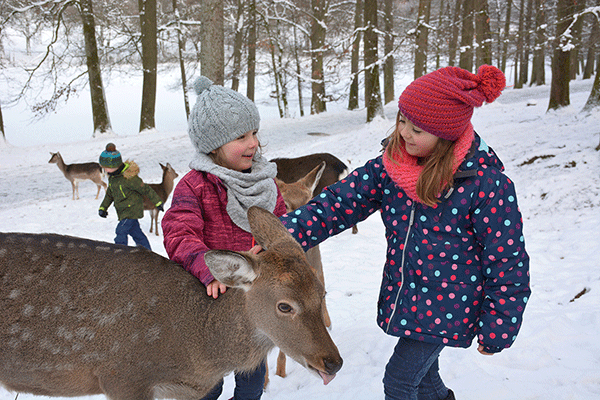Wildparadies Tripsdrill